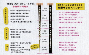 ザクロペインター