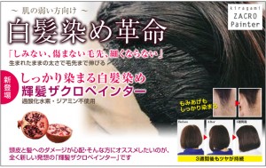 ザクロペインター２